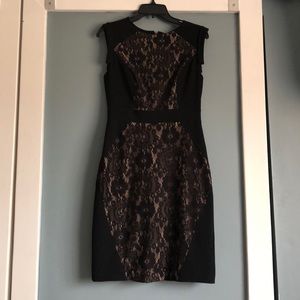 Lace Adrianna Papell dress size 6 knee length